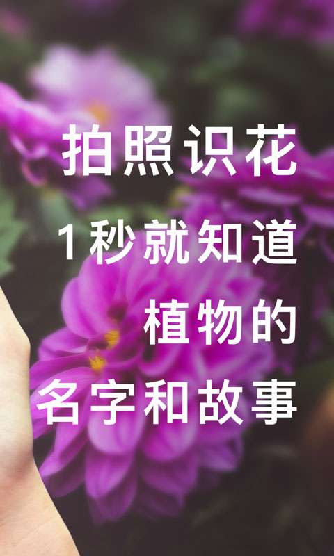 形色识别截图