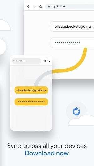 Google浏览器 官方版截图