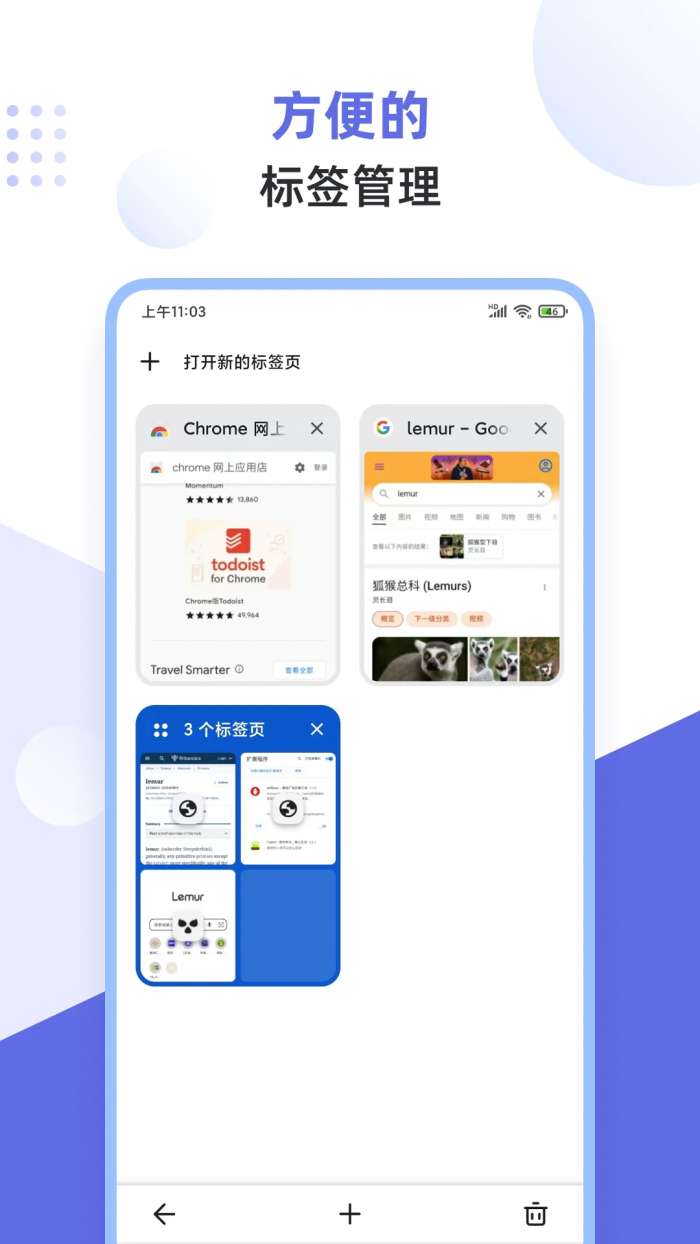 狐猴浏览器 官网版截图