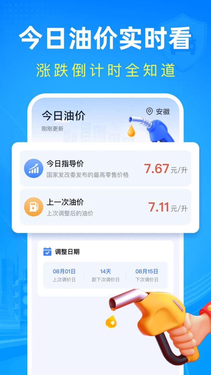 交通违章处置指南截图