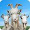 模拟山羊3 复活节版 v1.0.4.0