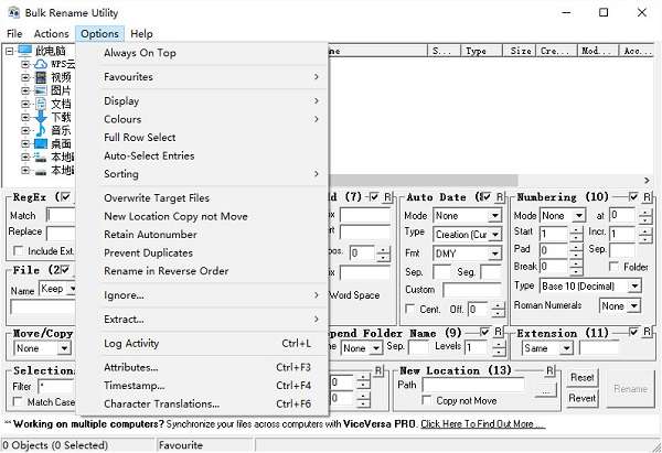 批量重命名软件(portable bulk rename utility)截图