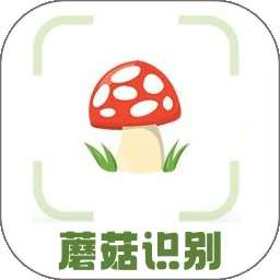 蘑菇识别 v1.5
