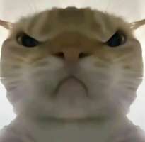 寻宝鼠辅助器 (免费)下载直装 v2.0