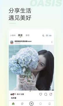 绿洲 下载安装包截图