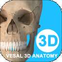 维萨里3D解剖 免费版 v6.9.5