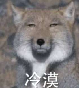 藏狐高清表情包 