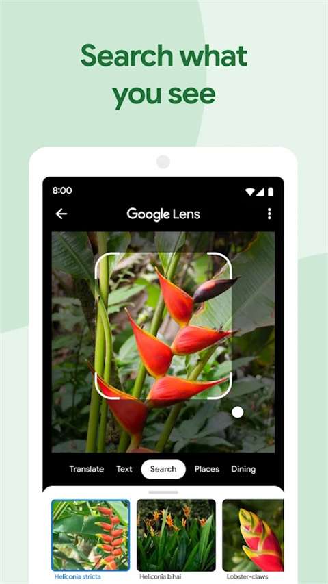 谷歌相册 app最新版截图