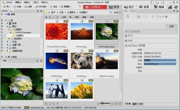 acdsee20中文修改版截图