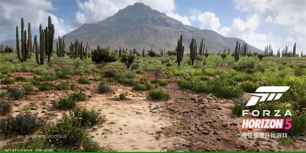 地平线5 官方入口截图