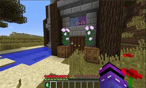 珍妮模组 养眼版截图