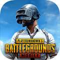 地铁逃生PUBG国际服 官方正版下载2025 v2.4.0