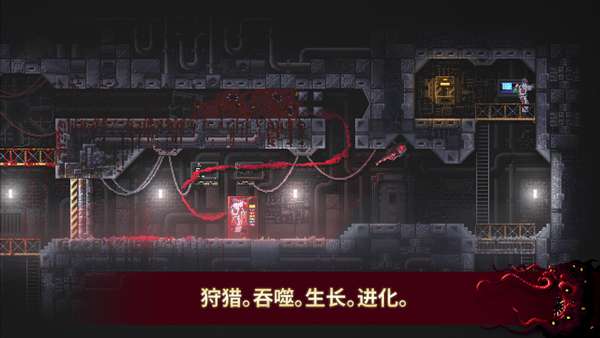 红怪 手机安装入口截图