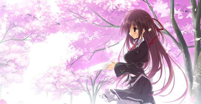 樱之诗 冷狐版截图