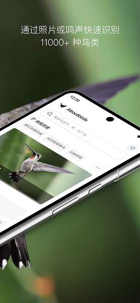 懂鸟截图