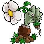 植物大战僵尸海克斯大乱斗版 v1.0