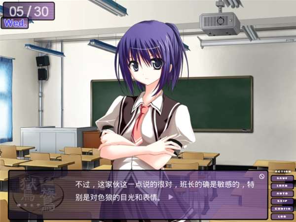 鸑鷟：镜花水月 中文版截图