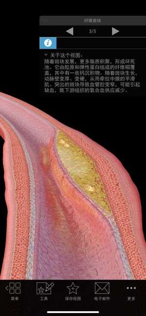 生理和病理学截图