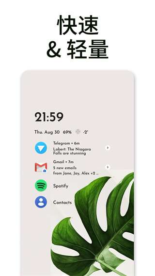 Niagara Launcher 官方版截图