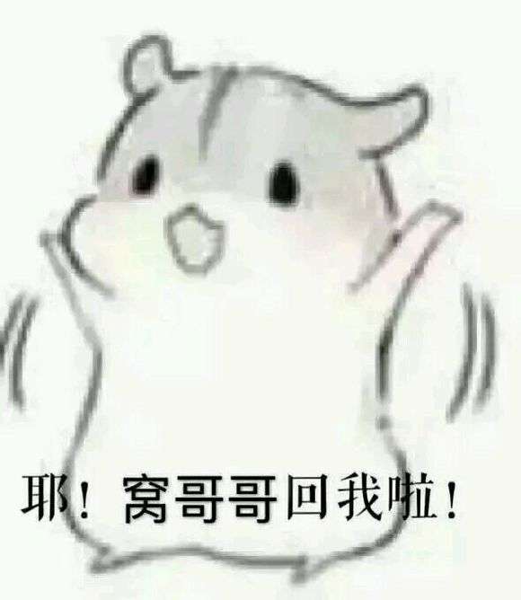 小仓鼠系列表情包图片集 