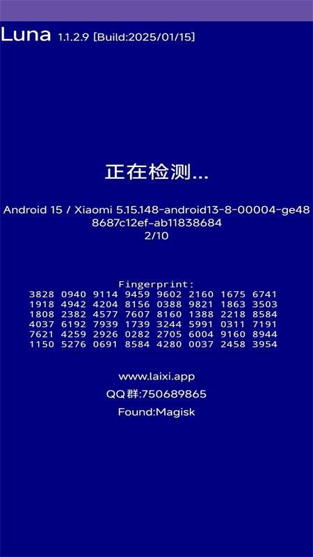 Luna环境检测工具截图