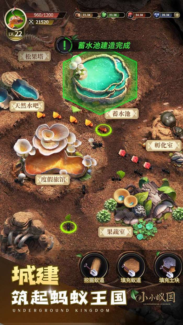 小小蚁国（无垠荒野）截图