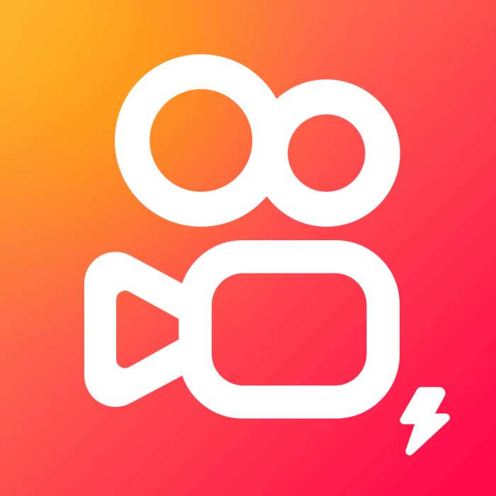 快手极速版 网页版 v13.7.20.10468