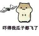 仓鼠掉瓜子QQ表情包 