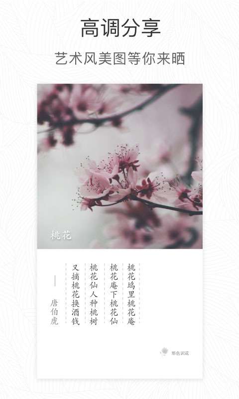 形色识别截图