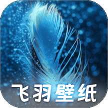 飞羽壁纸 v1.0.0