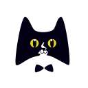 黑猫小说 旧版本 v1.1