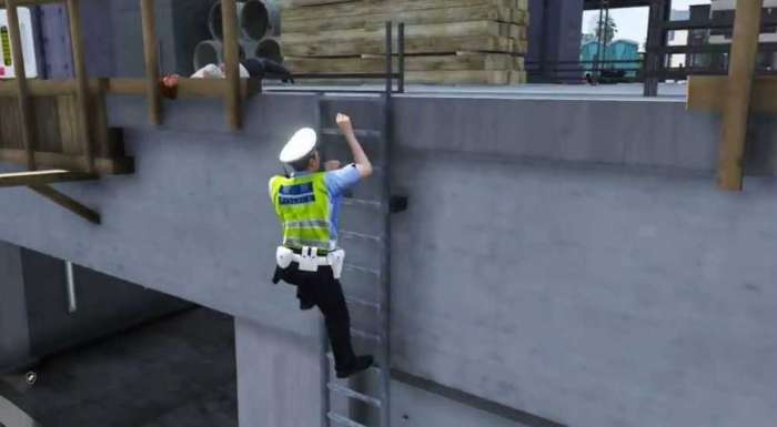 GTA5警察模拟器截图