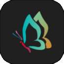 秀秀壁纸 手机版 v2.0.1