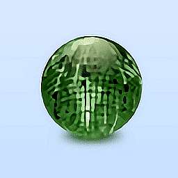 行列式计算器客户端