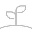 成长之树 v7.8.100