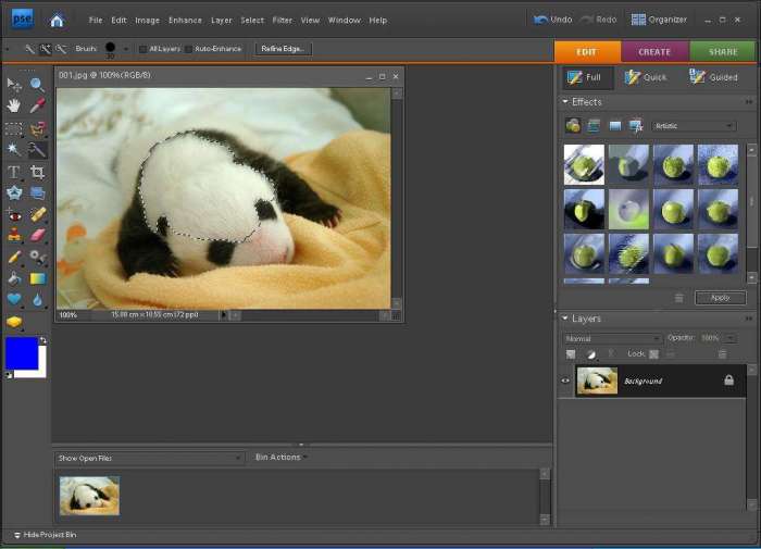 Adobe Photoshop Elements2019截图