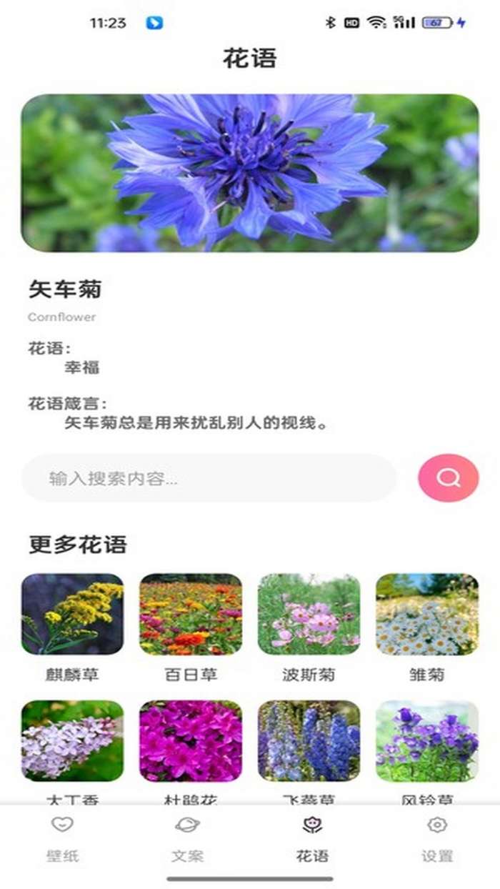 傲娇壁纸 2026最新版截图