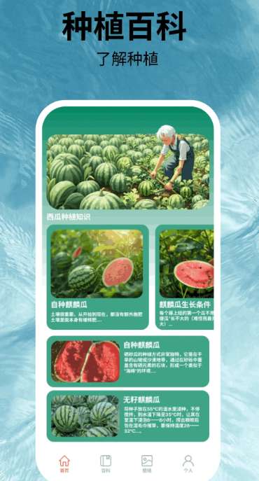 福运西瓜截图