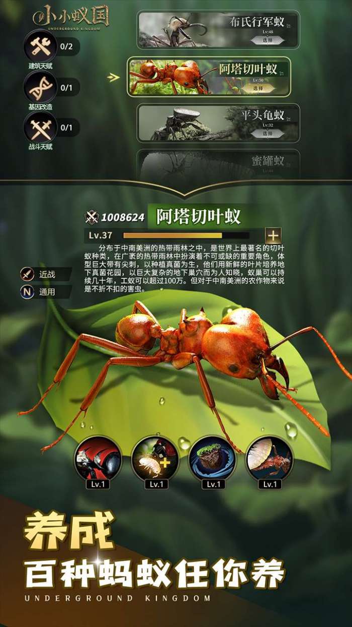 小小蚁国（无垠荒野）截图