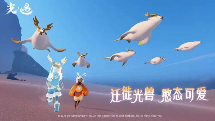 光·遇 2026最新版截图