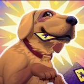 老婆随手扔了我多年珍藏卡牌 v1.0