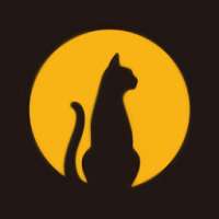 黑猫盒子 2025最新版 v1.4.2
