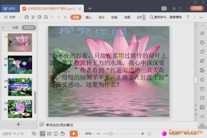 荷叶母亲ppt课件免费版截图