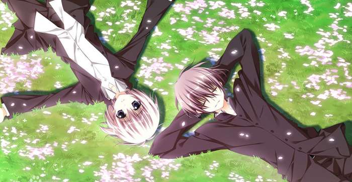 樱之诗 安卓版截图