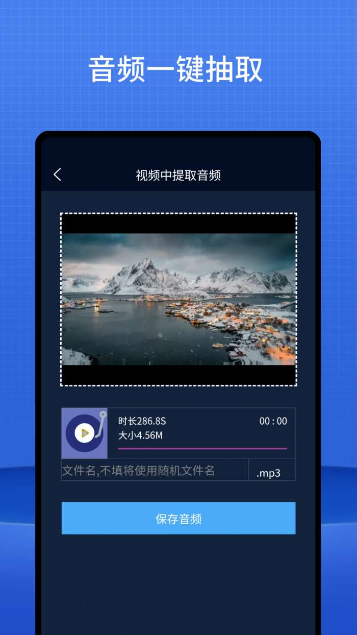 网页视频下载器截图