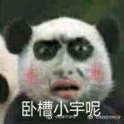 卧槽小宇呢什么梗表情包 