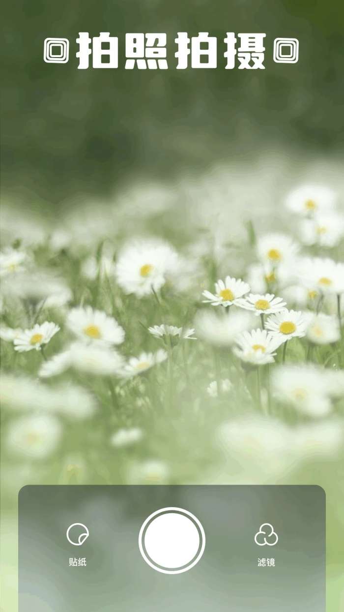 Z动漫 免费版下载安卓版截图