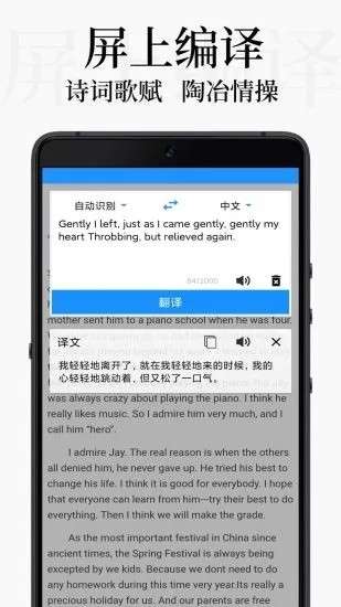 DB翻译截图