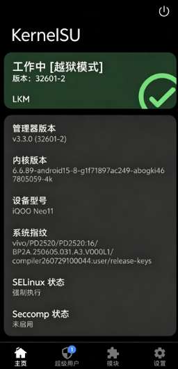 IQOO KSU面具 2026最新版截图