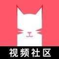 猫咪app视频 最新版 v1.1.4